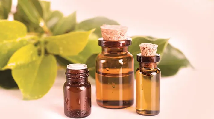 Camphor Oil